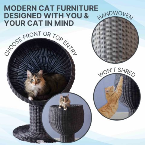 Kitty Ball Cat Bed: Raised Cat Bed, Scratch-proof | The Refined Feline