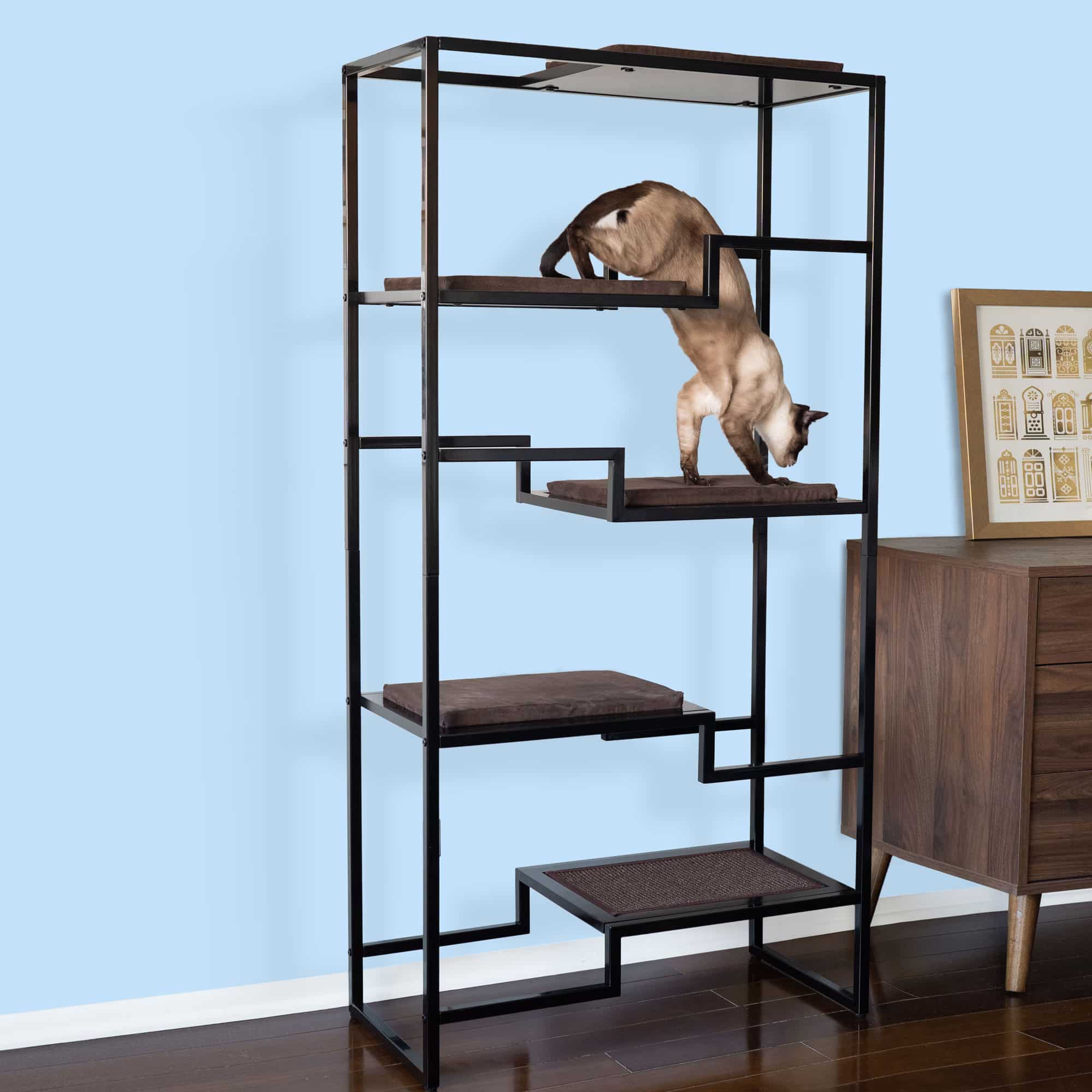 Bookcase 2024 cat tree