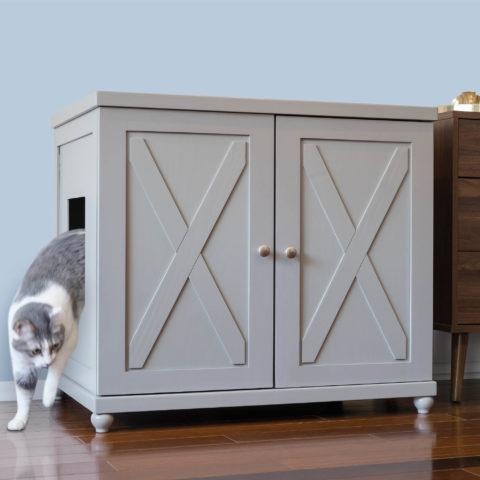 8 Modern Home Improvements You & Your Cat Will Love | Refined Feline