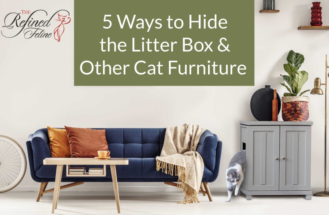 5 Ways To Hide The Litter Box And Other Cat Furniture The Refined Feline   Hide The Litter Box 1080x706 