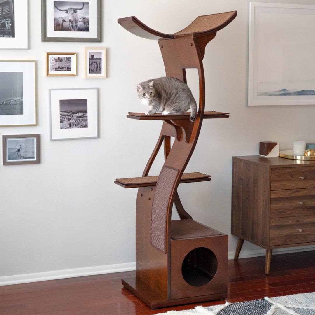 Best Cat Towers, Cat Trees, & Cat Condos of 2021 - The Refined Feline