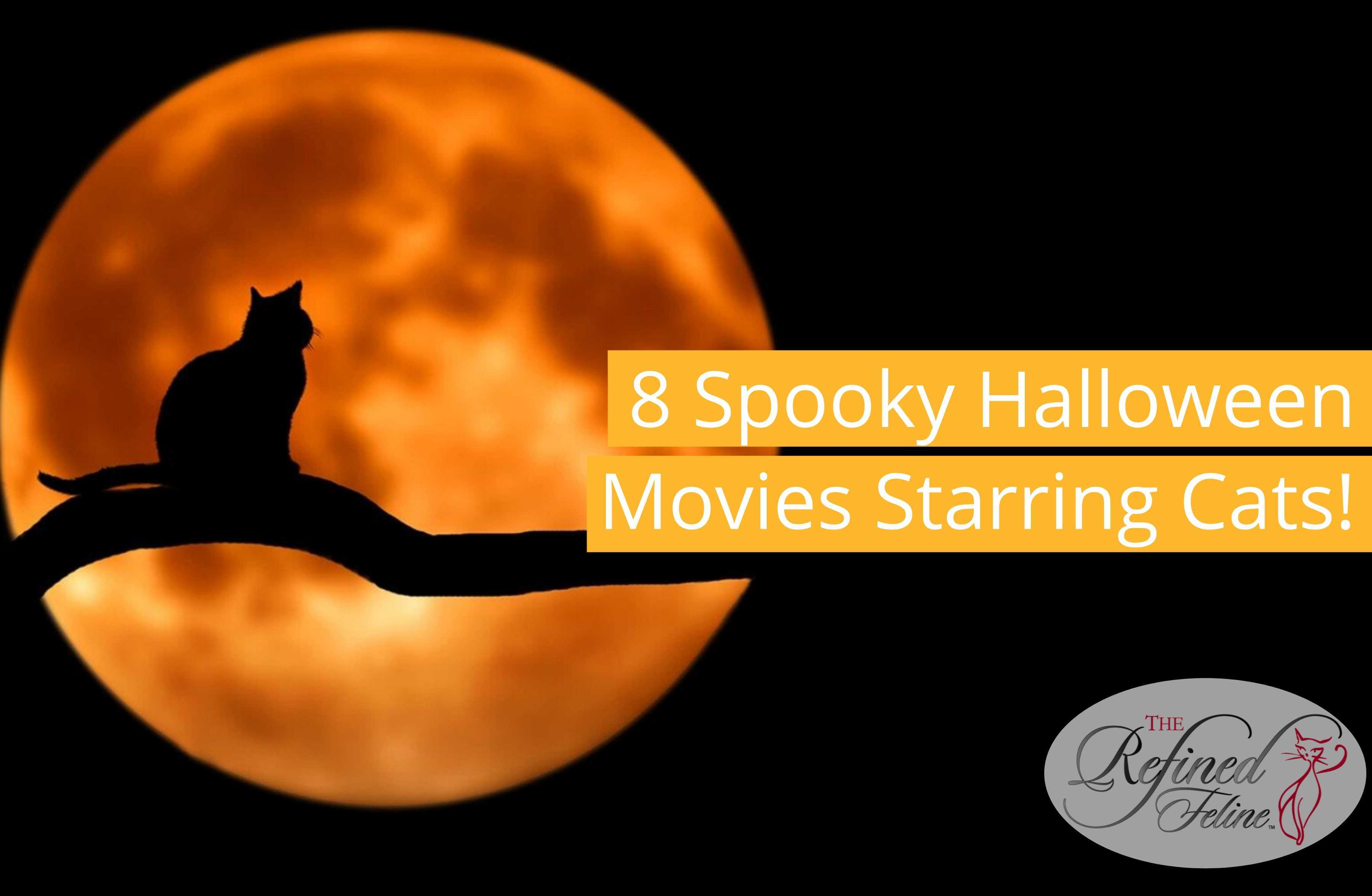 8 Spooky Halloween Movies Starring Cats! - The Refined Feline