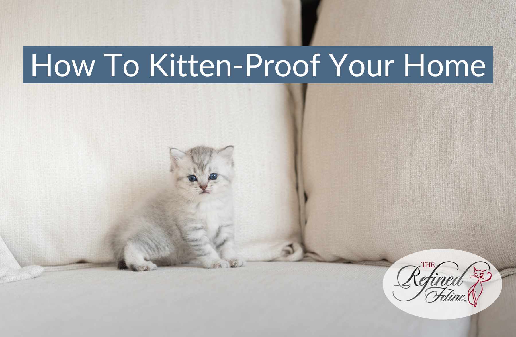 How To Kitten Proof Your Home The Refined Feline 8071