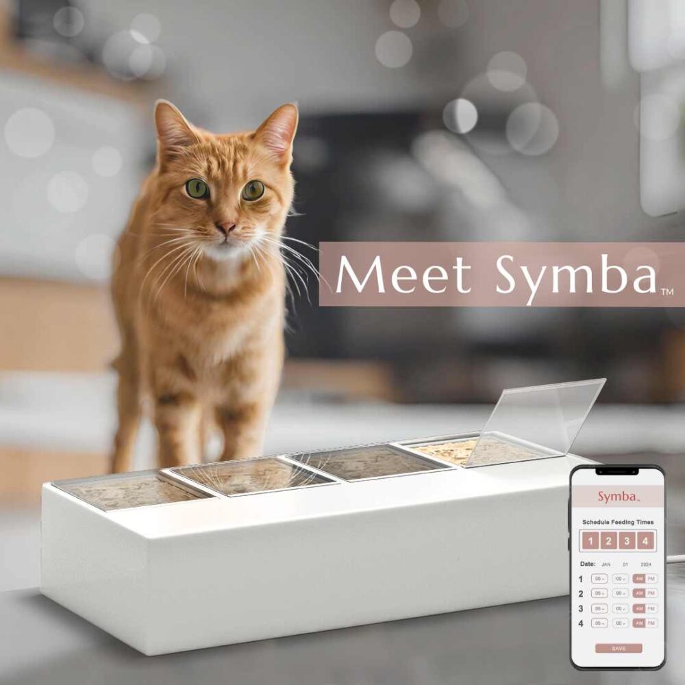 Symba wet food feeder