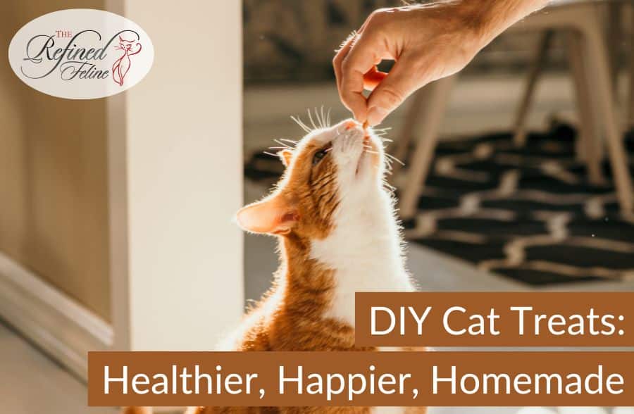 DIY Cat Treats Healthier, Happier, Homemade